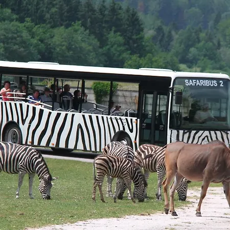 Safari