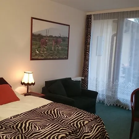 Safari Hotel 3*